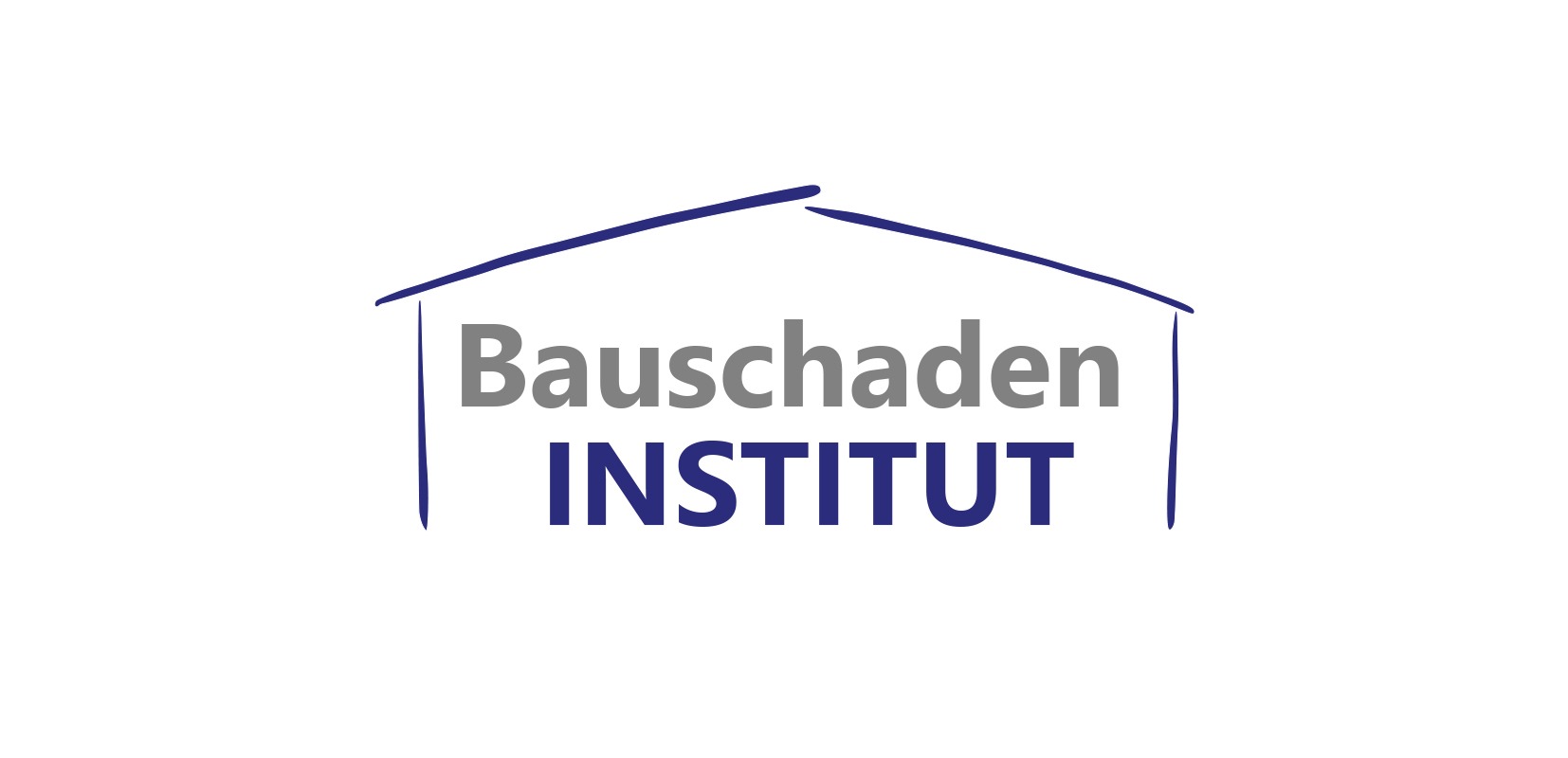 Bauschaden Institut