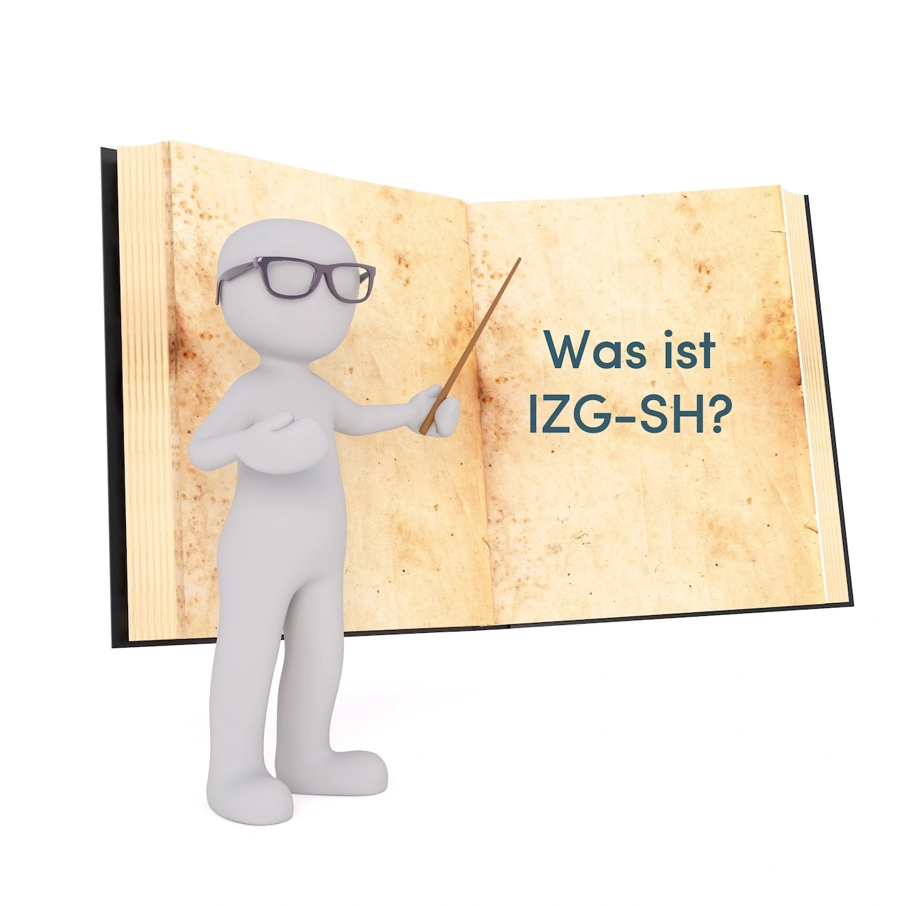 Was ist das IZG-SH